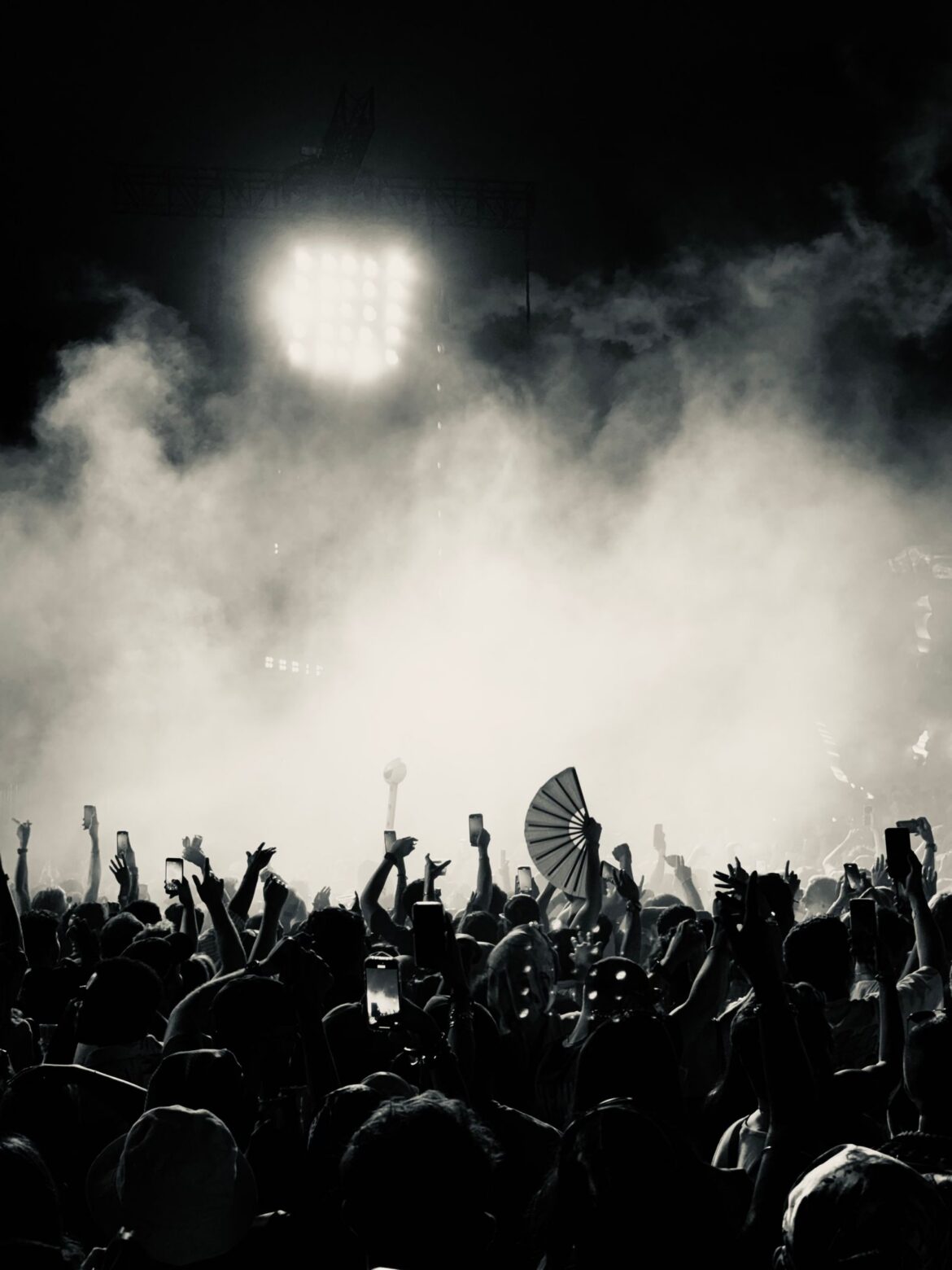 K-pop fan crowd at a concert