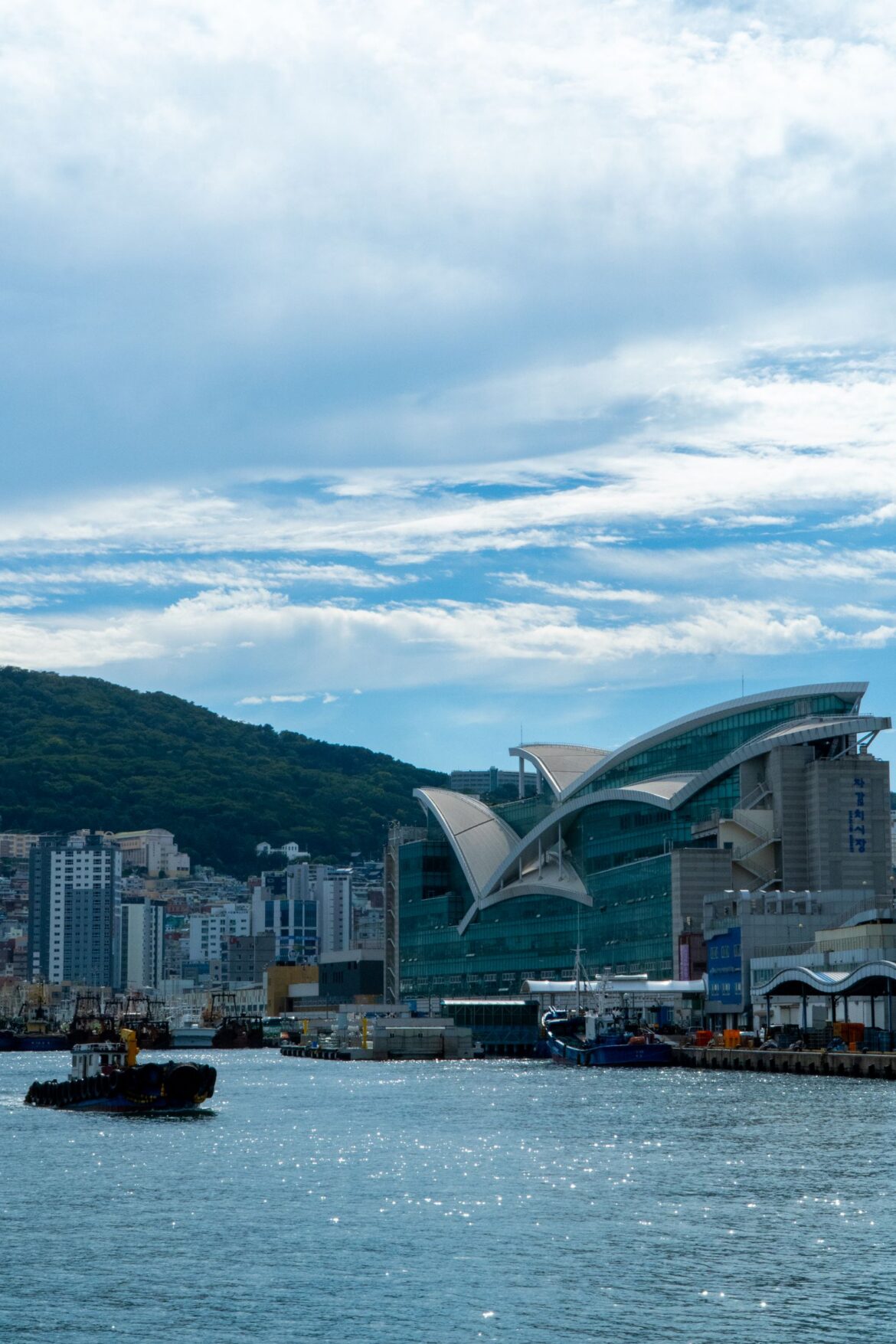 Busan skyline with iconic coastal architecture