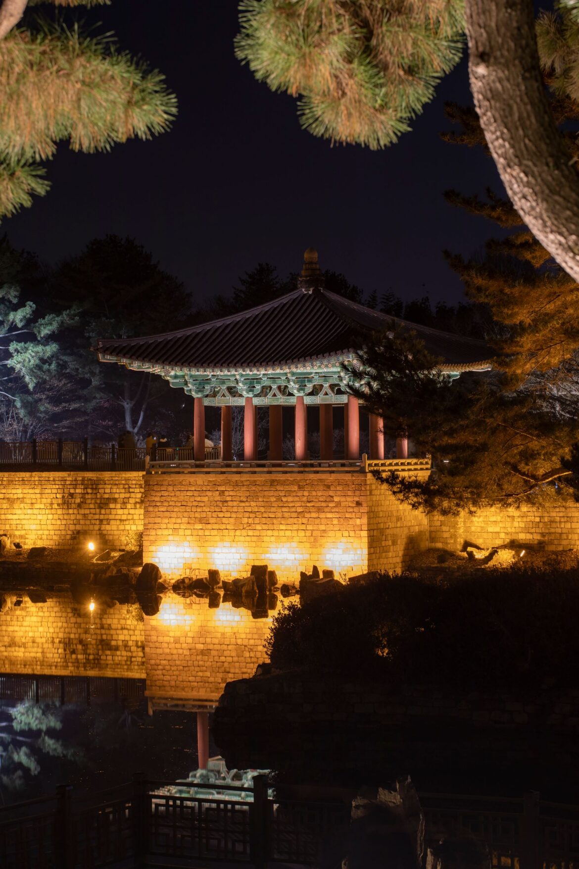 A palace night view with reflections