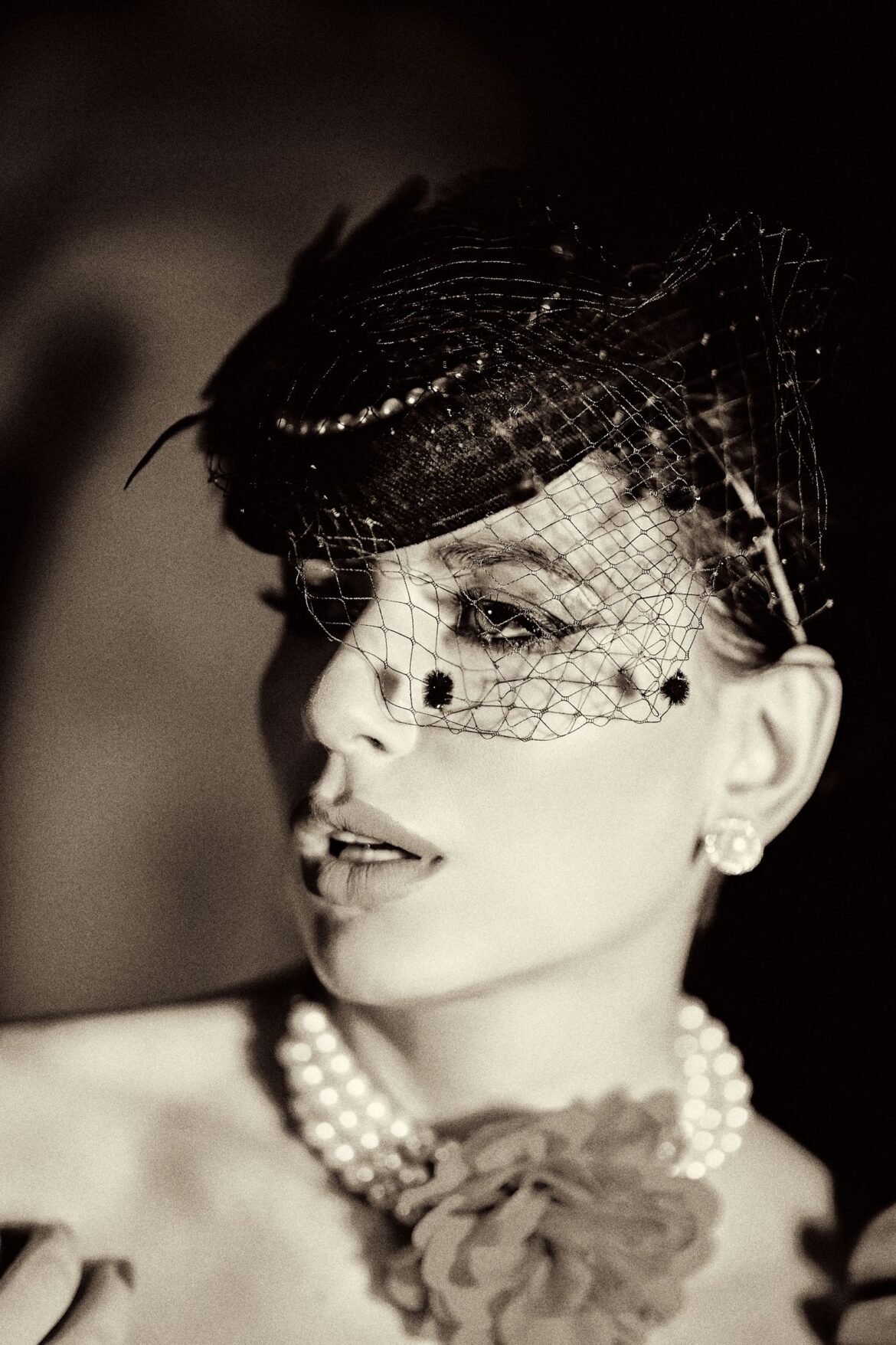 A vintage-style portrait of a woman in a veil hat
