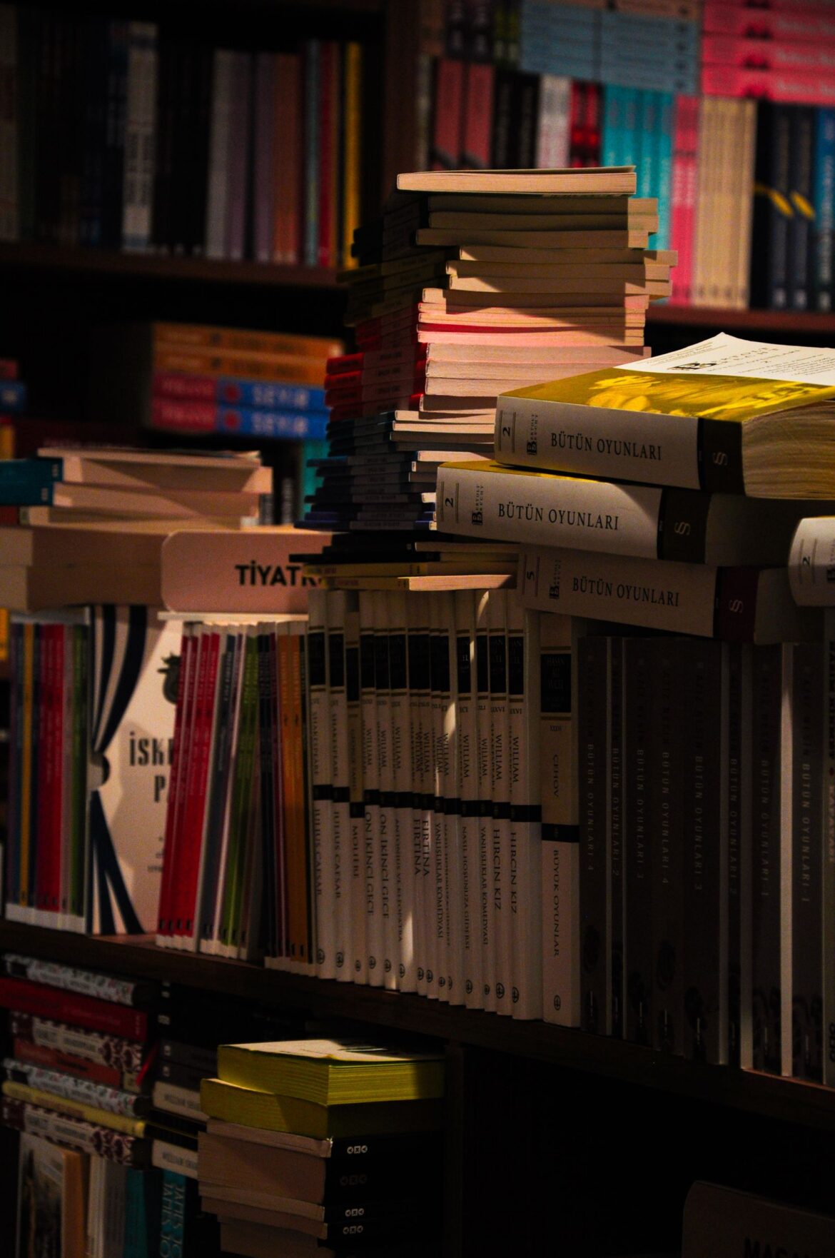 Bookshelves, representing Korea literary translation and overseas publishing support