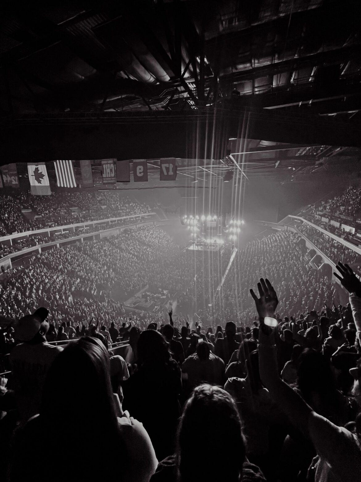Concert crowd in arena at night