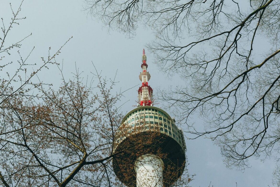 Namsan Seoul Tower framed by cherry blossom branches spring in Seoul
