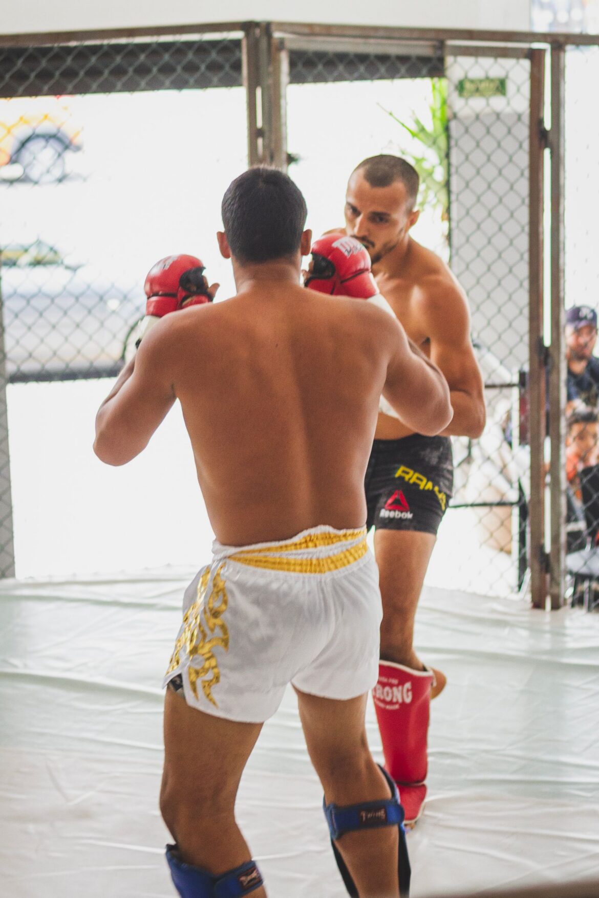 Street fighting training scene, representing the webtoon Study of a Fighter and its Japanese Netflix adaptation